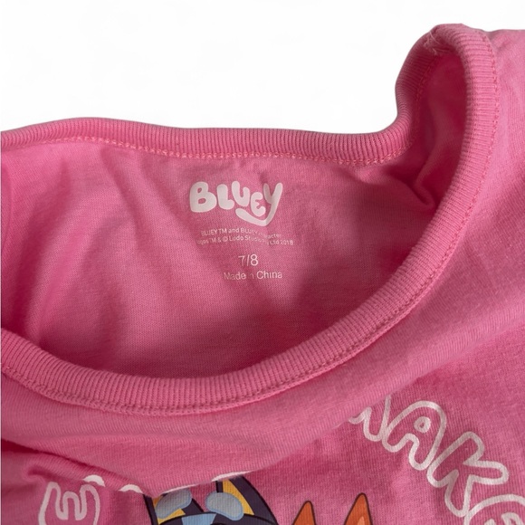 Bluey & Bingo Pink rainbow Dance Mode ruffled tutu twirl dress nwot - Picture 4 of 4